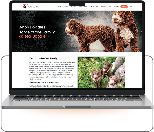 Whos Doodle